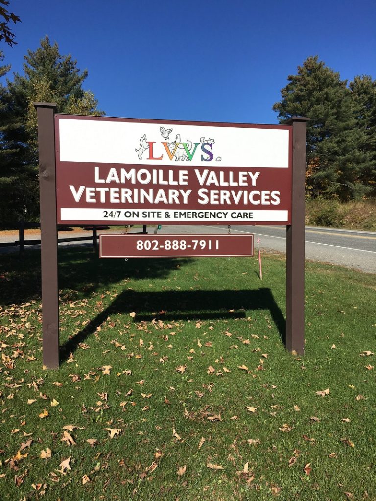 Veterinarian in Hyde Park, VT Lamoille Valley Veterinary Services